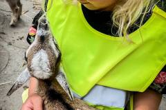 ausflug-kita-gwunderwelt-geischen-kuscheln