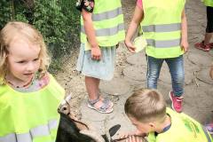 ausflug-kita-gwunderwelt-geischen-und-kinder