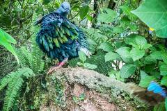 ausflug-kita-gwunderwelt-papiliorama-auch-andere-tiere-als-schmetterlinge