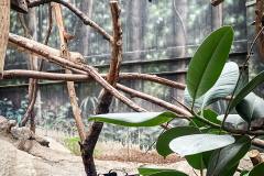 ausflug-kita-gwunderwelt-papiliorama-fledermaus