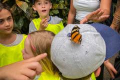 ausflug-kita-gwunderwelt-papiliorama-schmetterling-auf-dem-kopf
