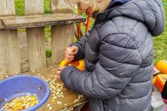 kita-gwunderwelt-halloweenfest-2021-kürbisschnitzen