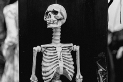 kita-gwunderwelt-subingen_halloween-2022_grusel-raum-mit-skelett