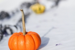 kita-gwunderwelt-subingen_halloween-2022_kuerbis-deko
