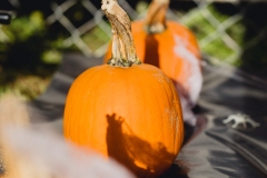 23_10_28-KITA-HALLOWEEN-©ronson-032