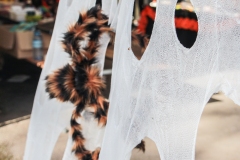 kita-gwunderwelt-halloween-2023_braune-spinne