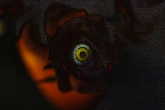 kita-gwunderwelt_halloween-2024_auge