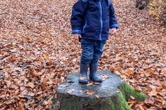 baumstamm-kinder-freude-mit-kita-gwunderwelt