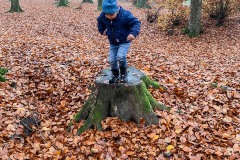 baumstamm-wald-mit-kita-gwunderwelt