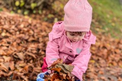 blaetter-natur-kita-gwunderwelt