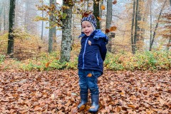bleatter-fallen-im-wald-mit-kita-gwunderwelt