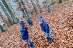 gwunderwelt-kinder-im-wald-aeschi