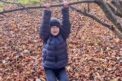 herbst-gwunderwelt-wald