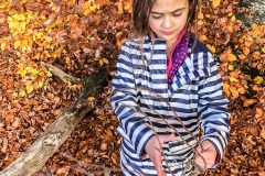 kita-gwunderwelt-bunte-bleaetter-im-herbst