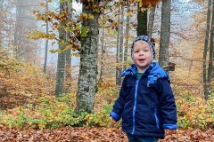kita-gwundwerwelt-herbst