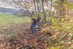 kita-herumtollen-wald-gwunderwelt