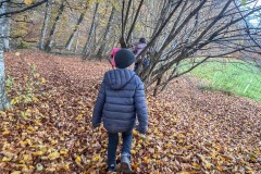 spazieren-wald-kita-gwunderwelt