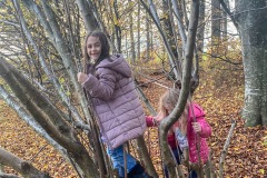 wald-spielen-maedchen-kita-gwunderwelt