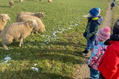 spaziergang-kinder-im-winter-kita-gwunderwelt